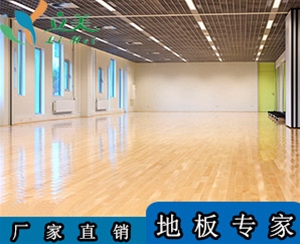 兒童舞蹈運動木地板