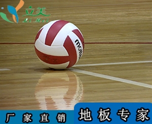 室內(nèi)排球場(chǎng)木地板