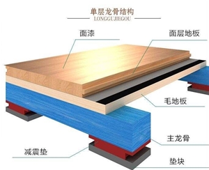 深圳光明白花學?；@球館運動木地板